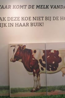 Museum it Tsiispakhûs: 门票