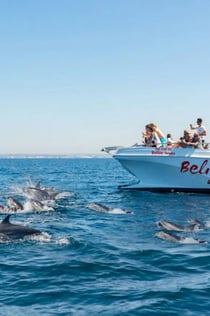 Benagil Caves: Delfinkatamarantur fra Albufeira