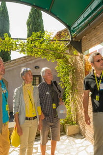 Appia Antica & St. Callisto Catacomben Rome: Entreebewijs, Rondleiding + Transfer