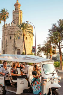 Sevilla: 1-stündige Tour mit privatem Elektro-Tuk-Tuk