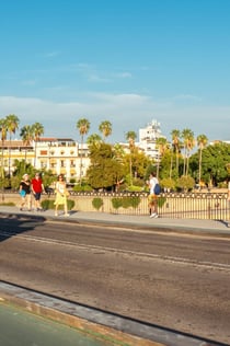 Sevilla: 1-stündige Tour mit privatem Elektro-Tuk-Tuk