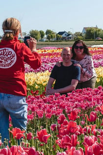 Keukenhof- og tulipanoplevelse: Adgangsbillet, guidet rundvisning + drikke