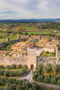 Z Florencji: jednodniowa wycieczka do Monteriggioni i Val D'Orcia