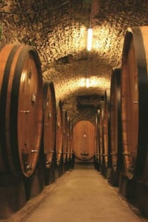 Chianti & Castles: Day Trip from San Gimignano + Wine Tasting