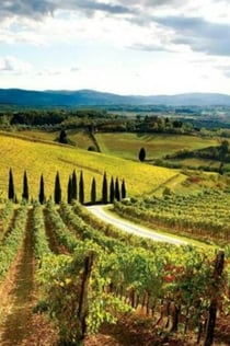 Chianti, Montalcino e San Gimignano: degustação de vinhos + passeio de um dia saindo de Siena