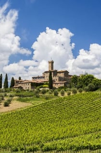 Chianti, Montalcino e San Gimignano: degustação de vinhos + passeio de um dia saindo de Siena