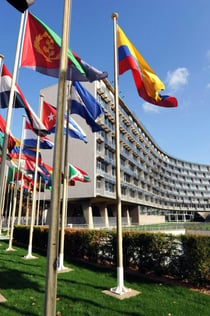 Seu de la UNESCO: tiquet d'entrada + visita guiada