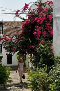 Tropical Coast & Nerja Cave: Day Trip from Granada + Lunch