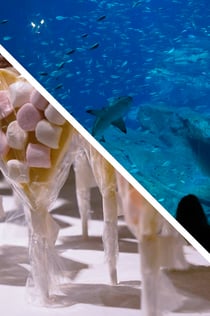 Choco-Story Paris + Aquarium de Paris
