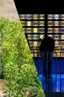 ARTIS Koninklijke Dierentuin Amsterdam & Micropia: Skip The Line Entree Ticket