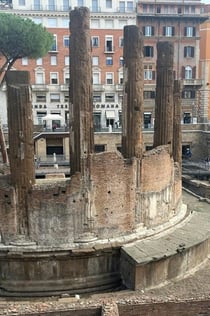 Rom: Archäologische Zone Largo Argentina Eintrittskarte