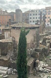 Rom: Archäologische Zone Largo Argentina Eintrittskarte