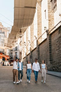 Segòvia, Àvila i Toledo: visita guiada des de Madrid
