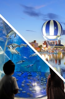 Πακέτο Balloon PanoraMagique + Sea Life Paris