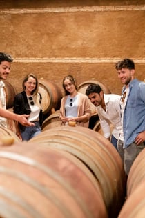Tolède : visite de la ville et des vignobles depuis Madrid + dégustation de vin