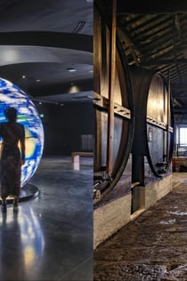 Cantina Fonseca & The Wine Experience: Tour + Degustazione