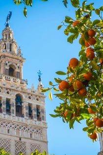 Kathedraal, Giralda & Alcázar Sevilla: Toegangskaartje en rondleiding
