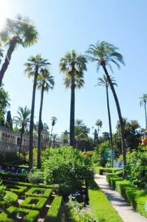 Kathedraal, Giralda & Alcázar Sevilla: Toegangskaartje en rondleiding