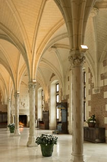 Château Royal d'Amboise + Château du Clos Lucé