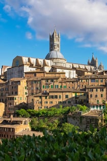 Siena i San Gimignano: excursió des de Florència + dinar al Chianti