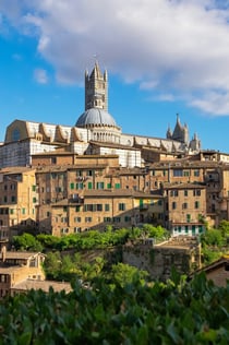 San Gimignano, Siena, Monteriggioni i Chianti: Visita + Dinar + Tast de vins