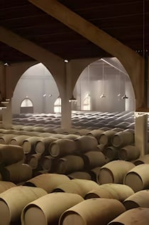 Jerez und Cádiz: Tagesausflug von Sevilla aus + Weinverkostung + Pferdeshow