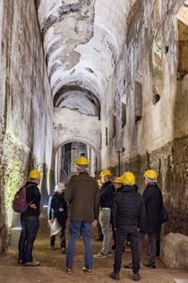 Domus Aurea: Biglietto d'ingresso + Tour guidato
