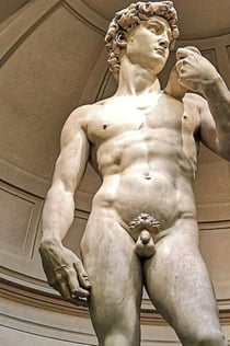 Galleria dell'Accademia: Tour guidato semiprivato