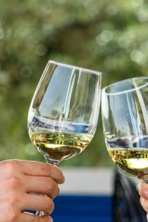 Visite en petit groupe des vignobles et exploration de Silves au départ d'Albufeira