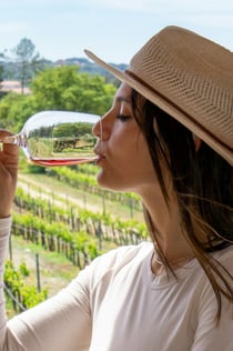 Visite en petit groupe des vignobles et exploration de Silves au départ d'Albufeira