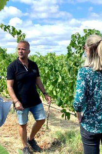 Degustacja wina 4x4 Off-Road Safari and Vineyard