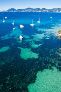 Cap d'Antibes: 2,5-godzinna wycieczka łodzią