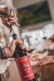 Montalcino: Tour durch die Weinberge + Weinverkostung