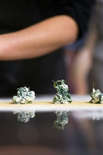 Florence: Small-Group Pasta-Making Class