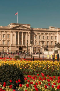 The Murder at Buckingham Palace: Interactive Mystery Hunt in London (Vražda v Buckinghamském paláci: