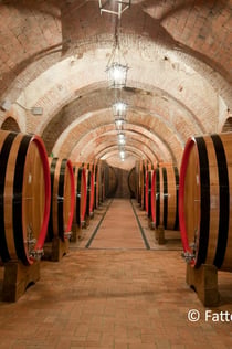 Montepulciano: Geführte Tour durch die Weinberge + Weinverkostung