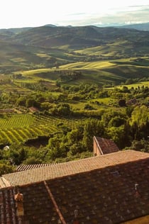 Montepulciano: Geführte Tour durch die Weinberge + Weinverkostung