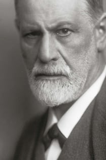 Musée Sigmund Freud : Billet d'entrée