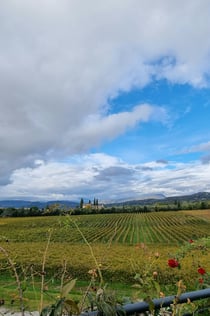 Gardasee: Weinverkostung + Tour durch die Bardolino-Weinberge