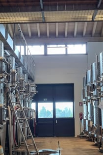 Gardasee: Weinverkostung + Tour durch die Bardolino-Weinberge