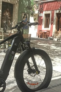 イラクリオン：エコバイクで行くクノッソス宮殿の田園地帯ツアー＋ワインテイスティング