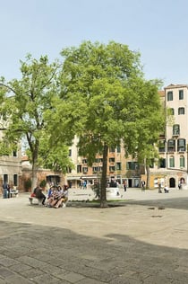 Jewish Ghetto of Venice Self-Guided Tour with App