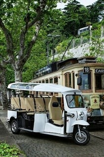 Excursión Privada en Tuktuk de 2 Horas en Oporto Duero a la Orilla Izquierda