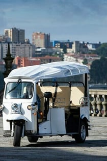 Excursión Privada en Tuktuk de 2 Horas en Oporto Duero a la Orilla Izquierda