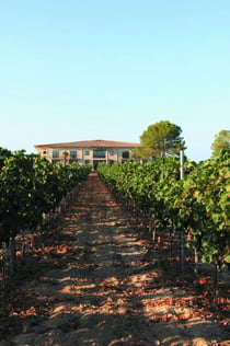 Cantina Vi Rei: Visita guidata e degustazione di vini