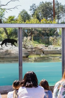 Parrot World: Annual Pass