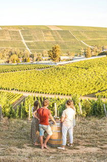 Sancerre: Γευσιγνωσία κρασιού + Γεύμα από το Παρίσι