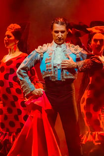 Costa Adeje: Spettacolo di flamenco Olé