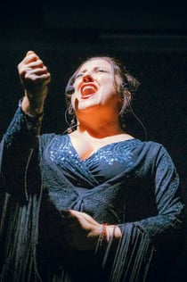 Costa Adeje: Spettacolo di flamenco Olé