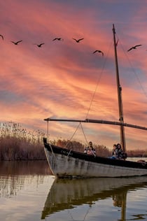 Cullera & Albufera Natural Park: Guidet tur fra Valencia